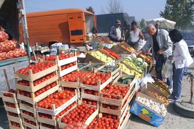 SRPSKA SALATA IZ ALBANIJE