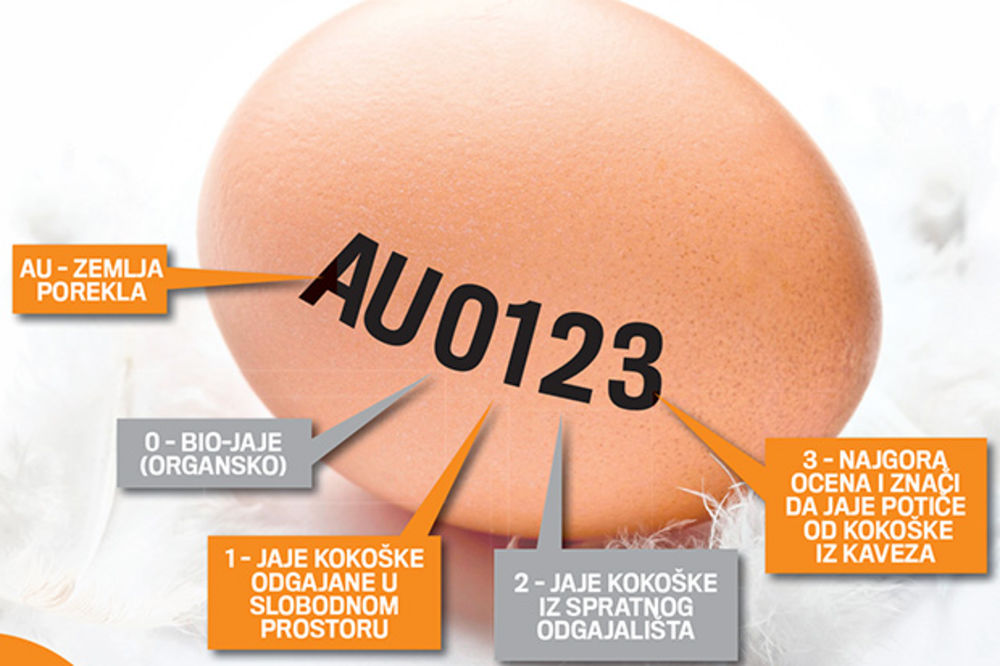 KODIRANA JAJA OD JANUARA 2020: Odloženo uvođenje novih deklaracija!