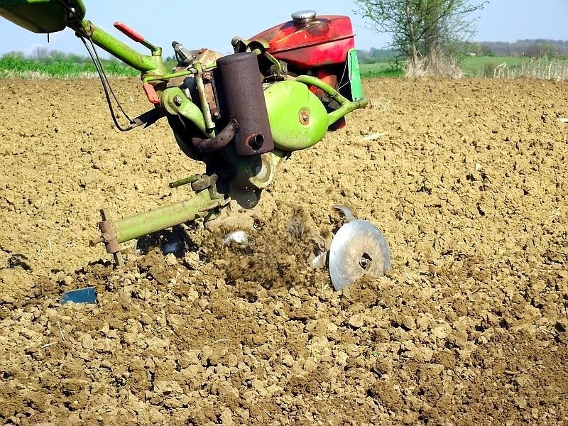 Poljoprivrednici stariji od 70 godina ne mogu da izlaze u svoja polja