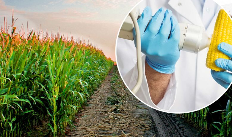 Mapa GMO njiva u Srbiji